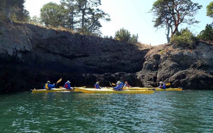 a group of kayakers paddle beside a tall rock wall on green water